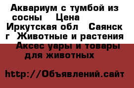 Аквариум с тумбой из сосны. › Цена ­ 15 000 - Иркутская обл., Саянск г. Животные и растения » Аксесcуары и товары для животных   